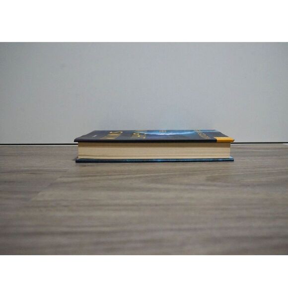 Night Swim by Megan Goldin Hardbook Cover Murder Mystery - Picture 2 of 10